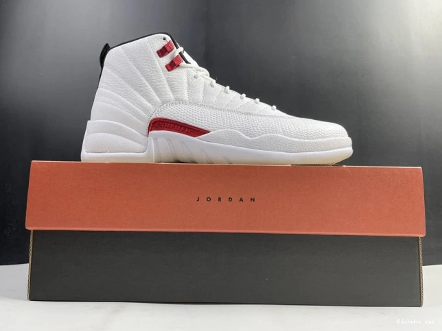 CT8013-106 Twist Jordan Air 12 0717